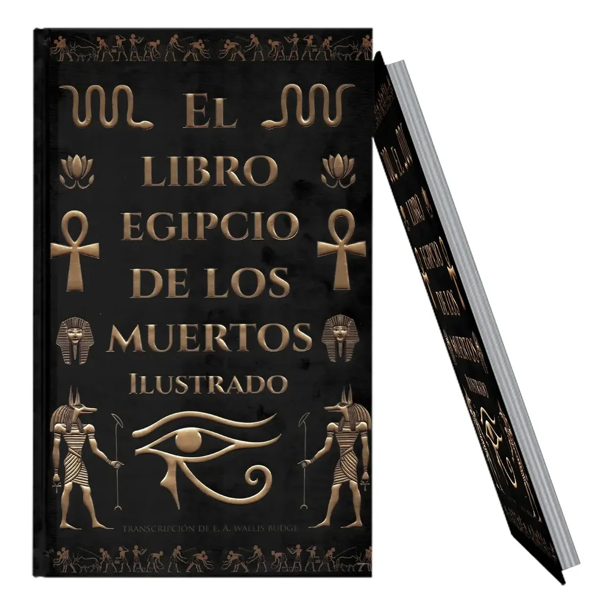 Egipcio de Los Muertos Ilustrado Mistico y Sagrado