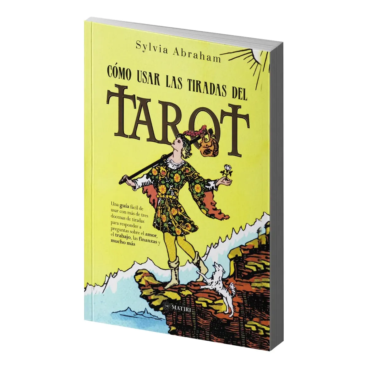 Como Interpretar Tiradas de Tarot - Practica