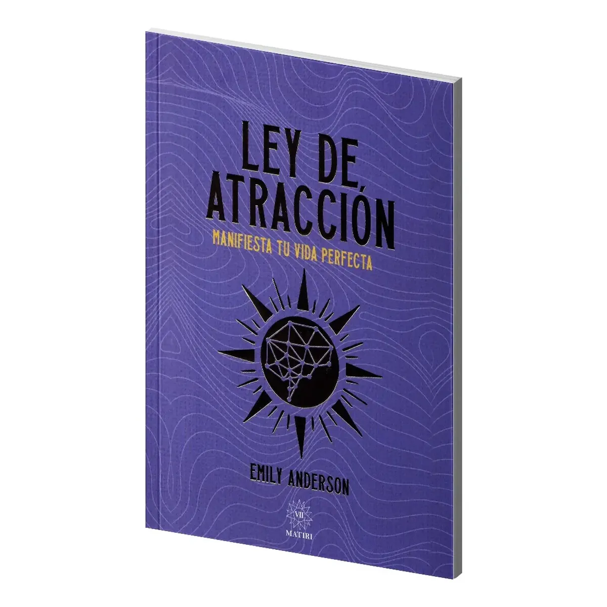 Ley de Atraccion Manifiesta Tu Vida Perfecta