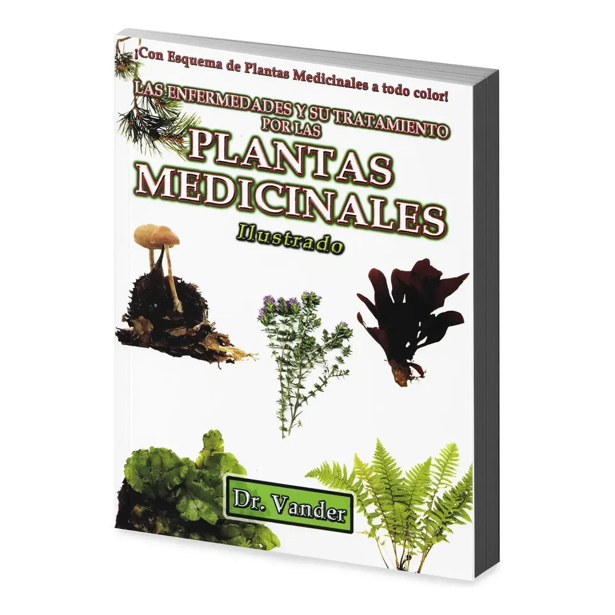 Enfermedades Tratamiento Plantas Medicinales Dr Vander
