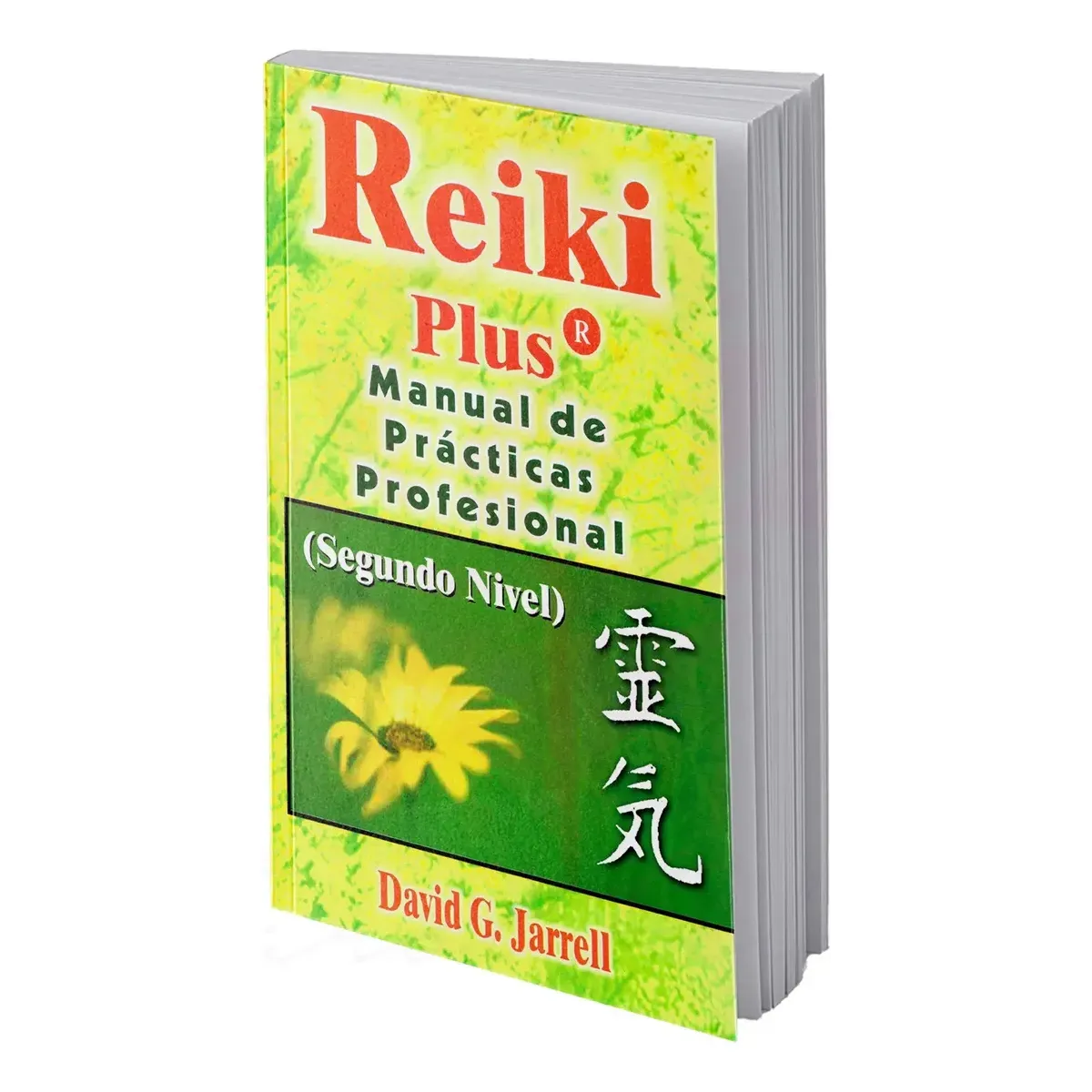 Reiki Plus - de Practicas Profesional