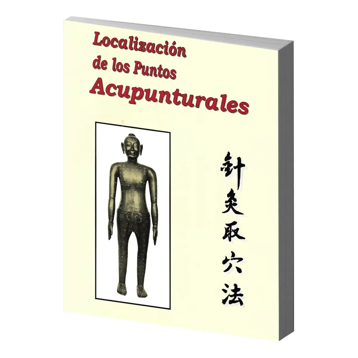 Localizacion de Los Puntos Acupunturales Practica