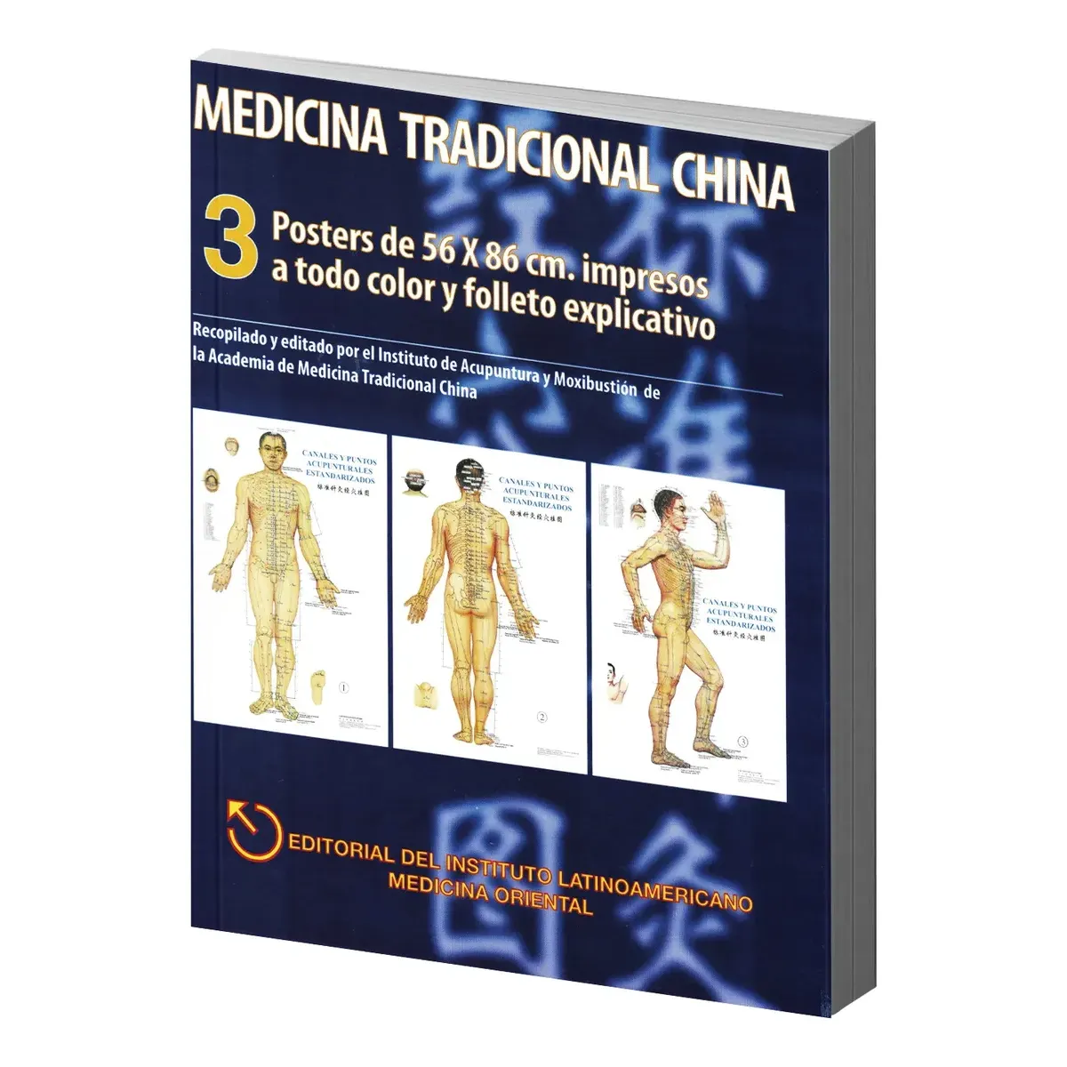 Medicina Tradicional China Posters de Canales y Puntos