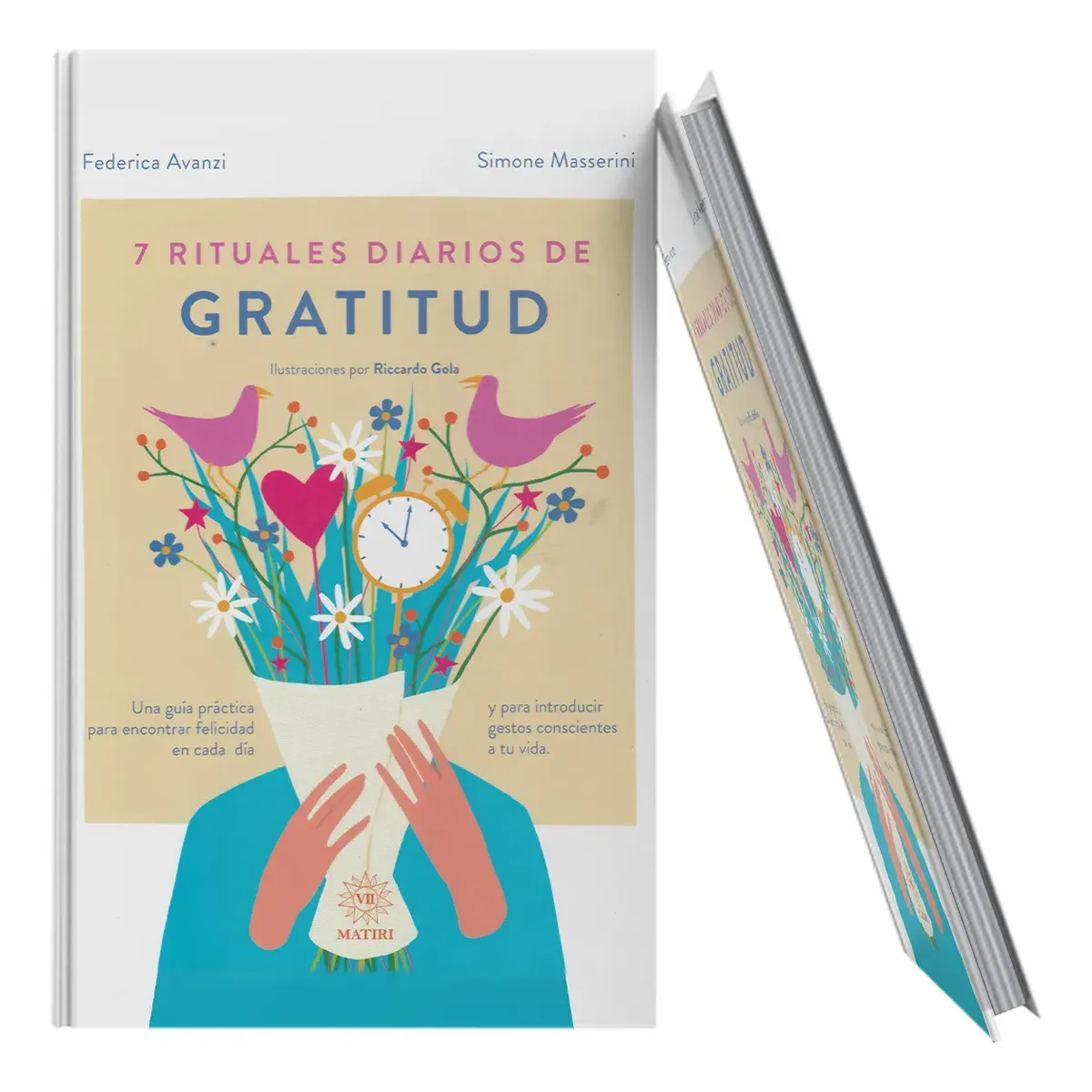 Diarios de Gratitud Practica